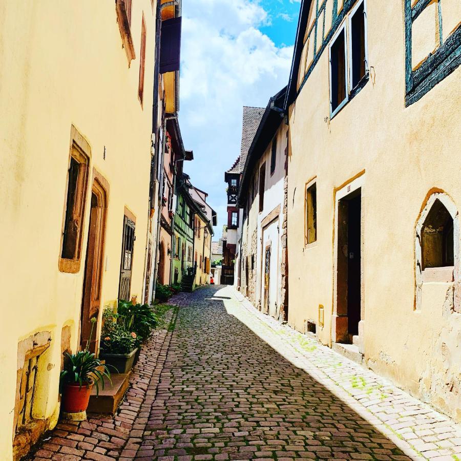 La Ruelle Alsacienne, Charme Alsacien Et Confort Moderne Riquewihr Buitenkant foto